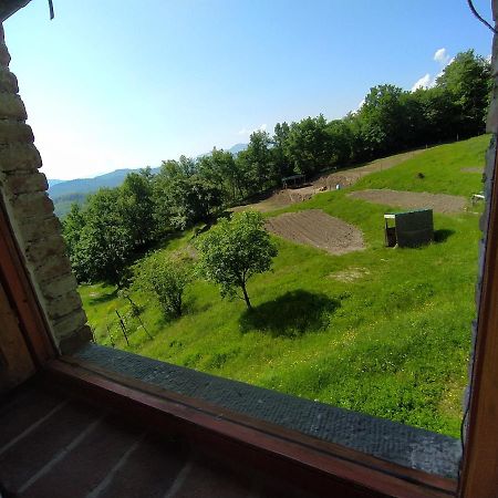 Agriturismo Paneolio Villa Collemandina Екстер'єр фото