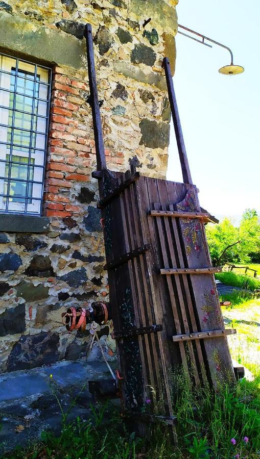 Agriturismo Paneolio Villa Collemandina Екстер'єр фото