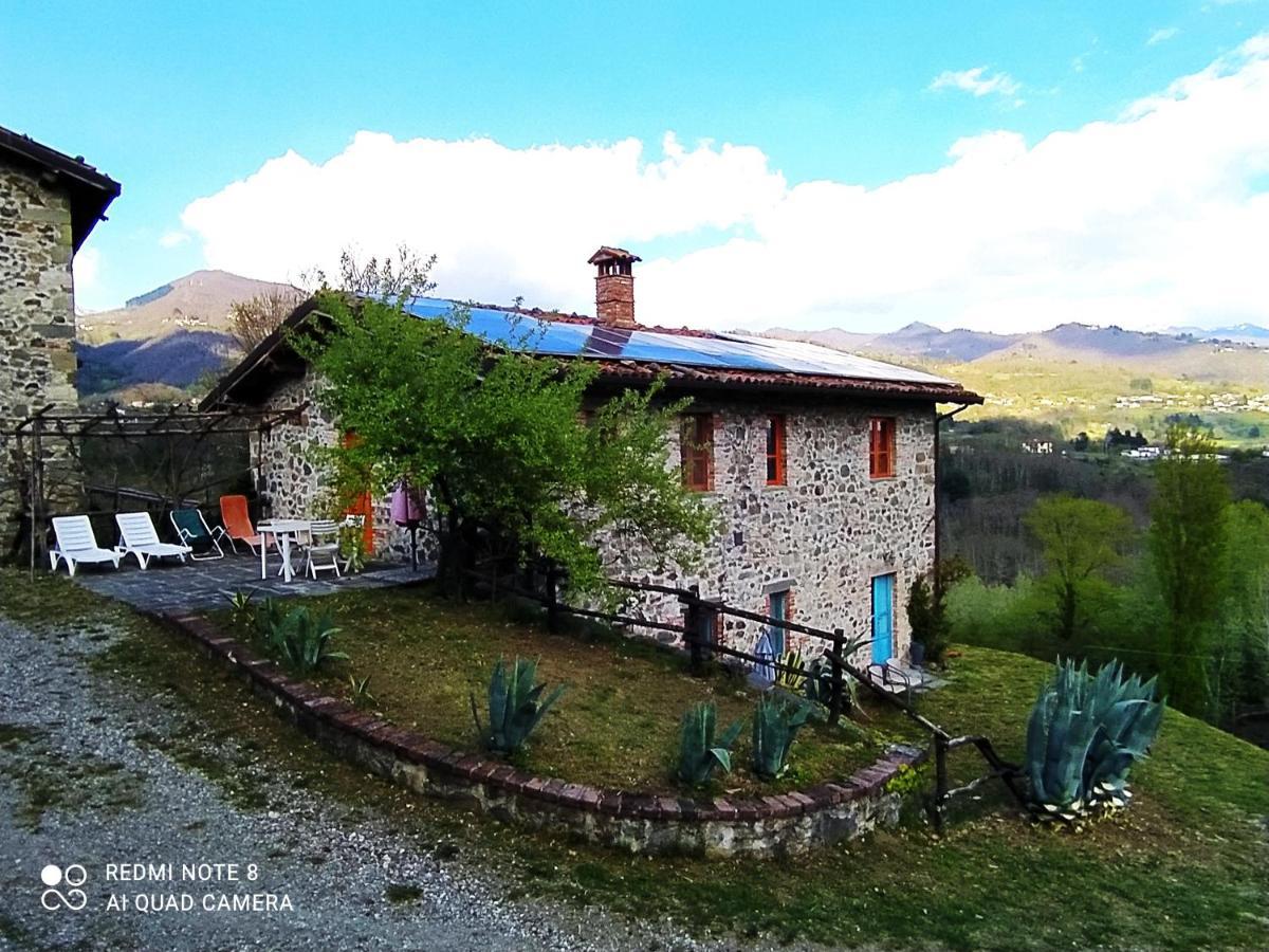 Agriturismo Paneolio Villa Collemandina Екстер'єр фото