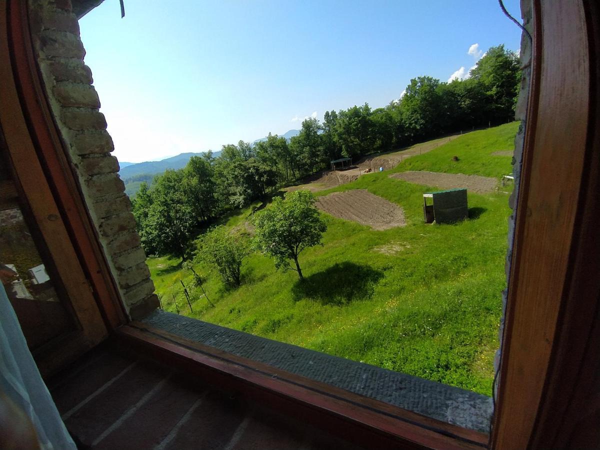 Agriturismo Paneolio Villa Collemandina Екстер'єр фото